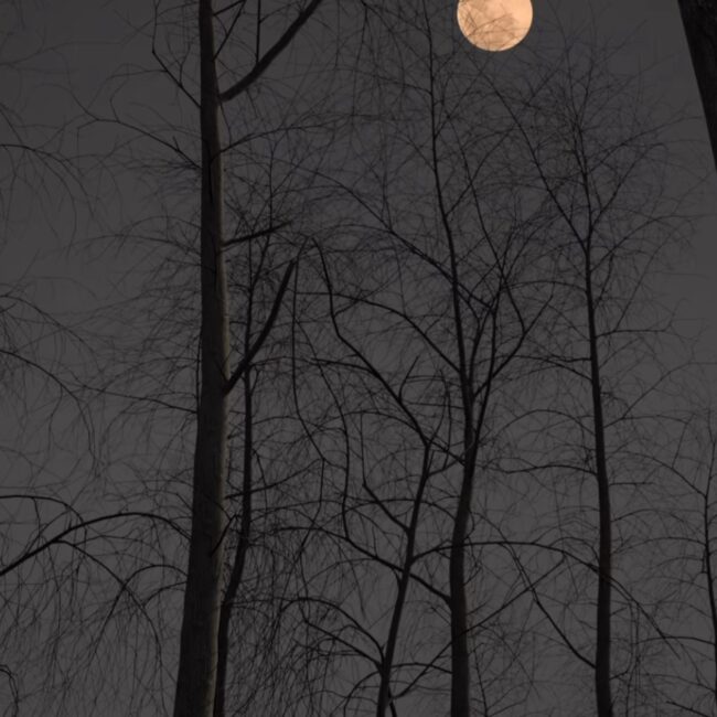 Pleine lune Septembre &ndash; Lune des moissons Wintzenheim