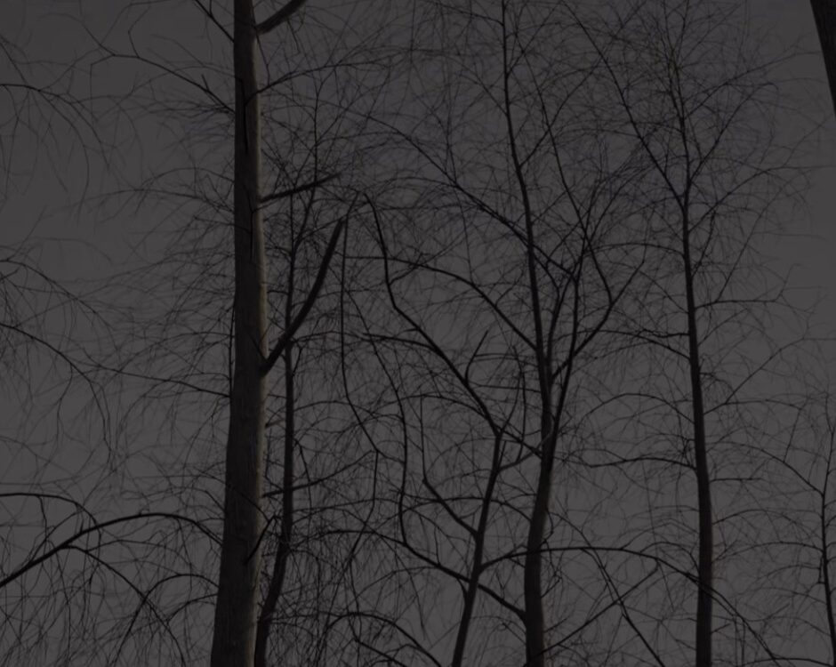 Pleine lune – Ao&ucirc;t – Lune de feu Ensisheim